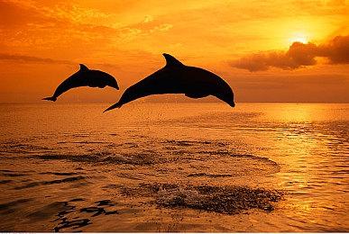 《黎明行者之血》总监：小团队能做更多的事情