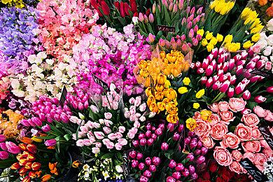 《第一狂战士：卡赞》25年初发售 主机版10＆11-20封测